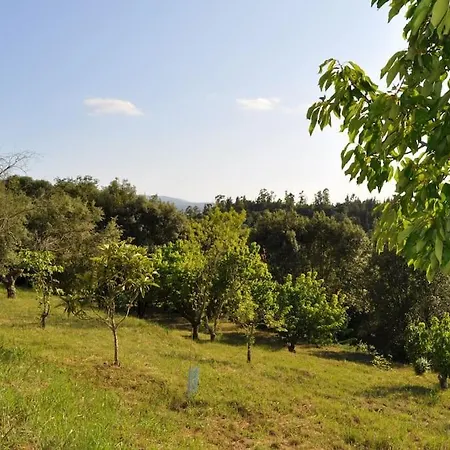 Apartment Acogedor En Entorno Rural *