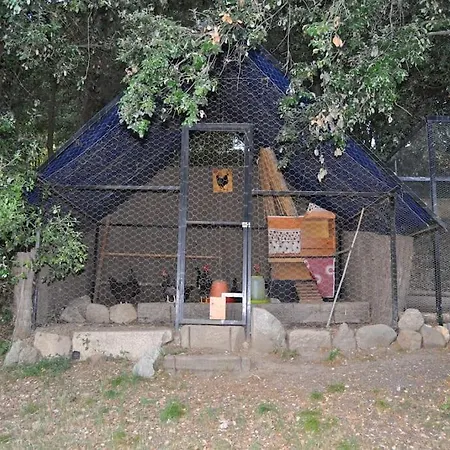 Acogedor En Entorno Rural *